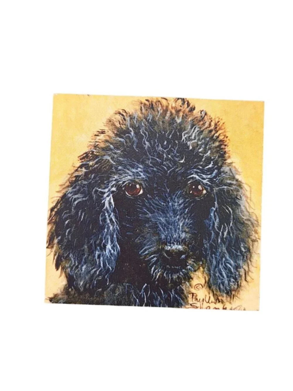 Vintage Black Poodle Square Magnet Dog Puppy Portrait Art Curly Hair French